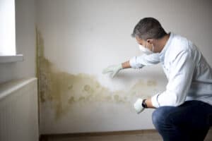 Preventing Mold in Your Home